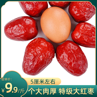 新枣正宗新疆大枣特级和田骏枣六星玉枣红枣枣子干货新鲜5斤特产