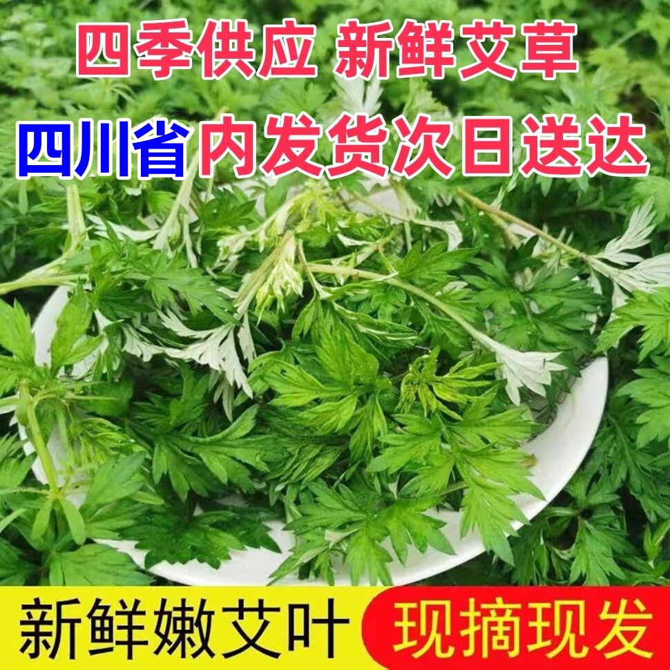 四川野生新鲜艾草艾叶现摘青蒿野菜艾团清明端午青团糍粑火锅清香