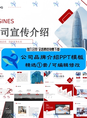 大气红色公司品牌介绍简介企业文化商业项目计划介绍PPT模板素材