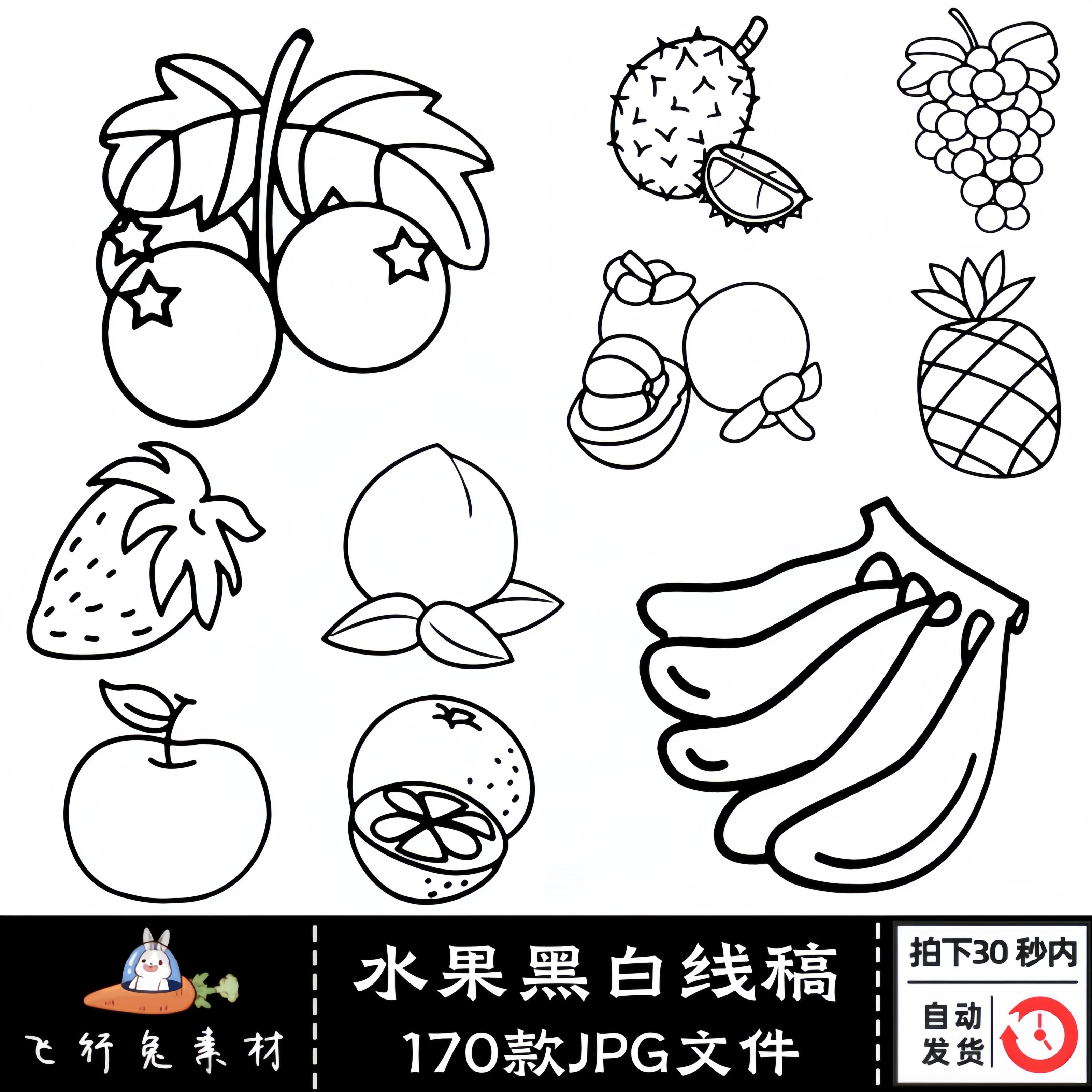 手绘水果黑白线描线稿线条简笔画香蕉苹果西瓜jpg幼儿园涂色素材