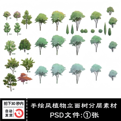 手绘风植物立剖面植物树分层水彩园林景观后期PSD效果图分层素材