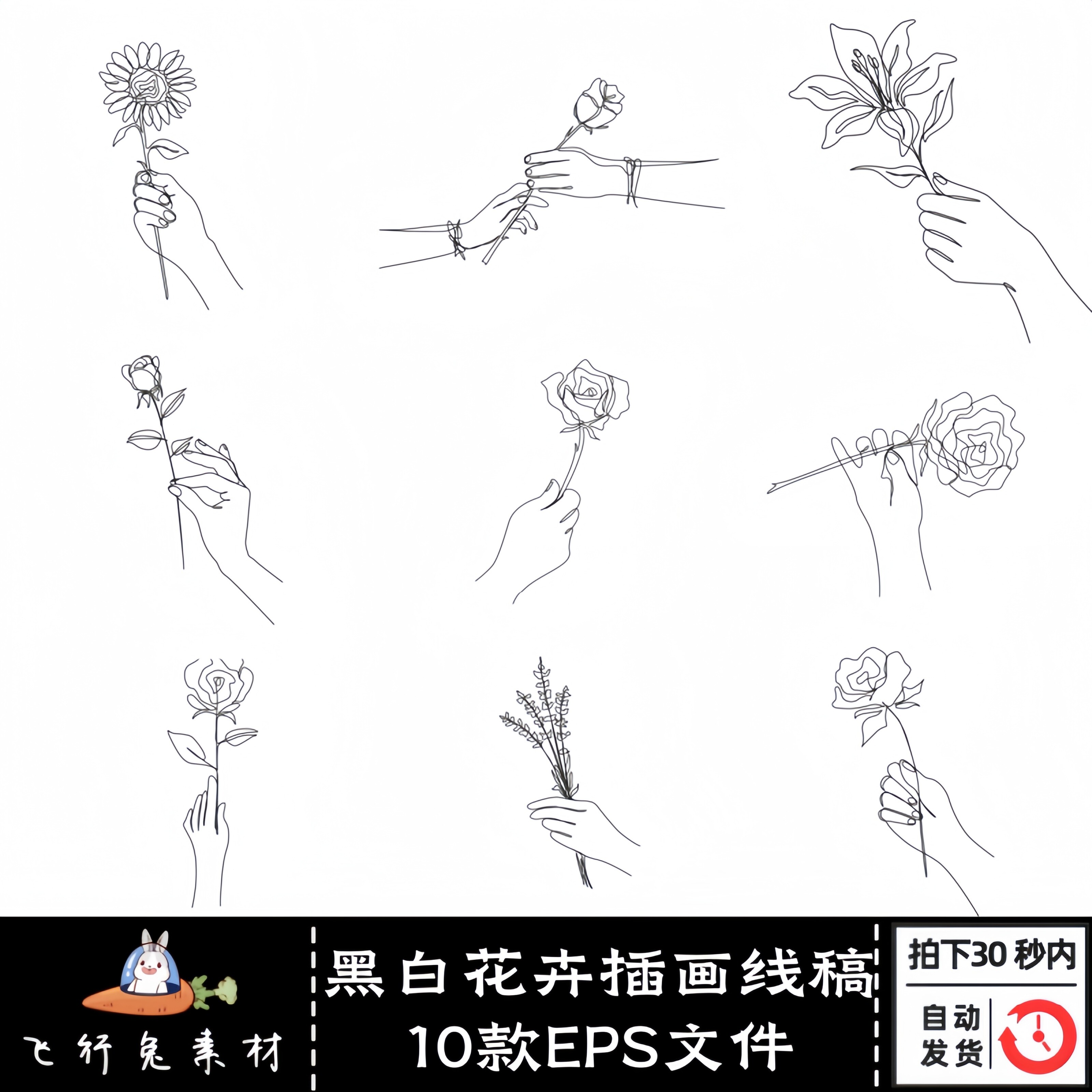 北欧风黑白简约线稿简笔画玫瑰花卉手拿花朵客厅墙插画AI矢量素材