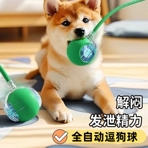 智能自动遛狗球带绳狗自嗨解闷电动智能逗狗神器小型犬宠物玩具