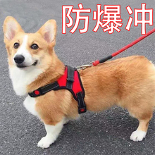 狗狗牵引绳金毛马犬哈士奇大中小型犬狗链子胸背带背心式遛狗狗绳