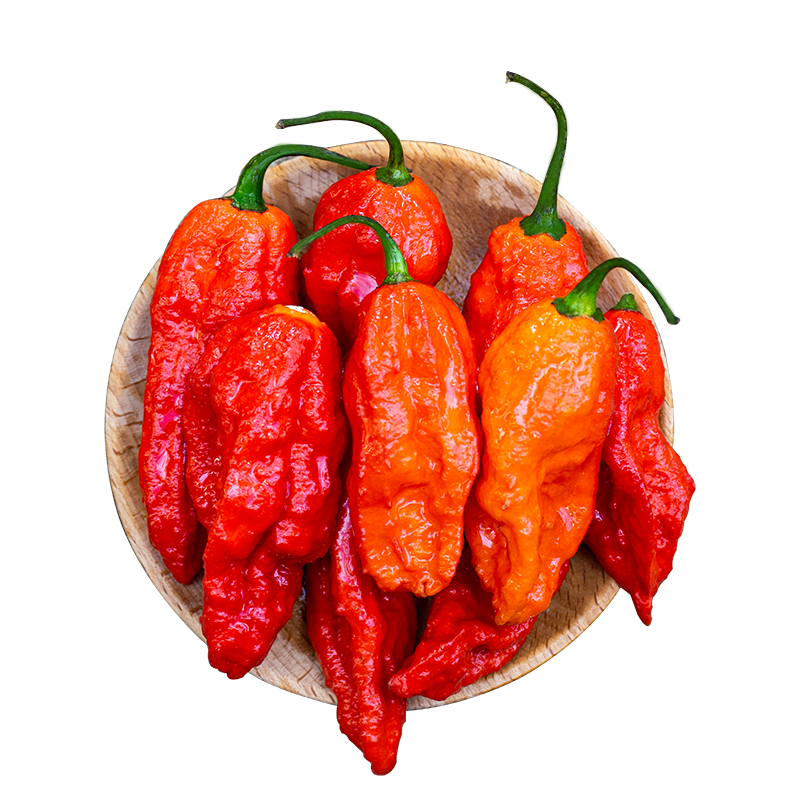 魔鬼辣椒500g新鲜印度涮涮辣云南