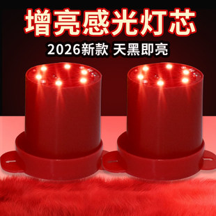 灯笼led灯免插电2026新款装饰红光灯灯芯灯笼伴侣 无线电池感光灯