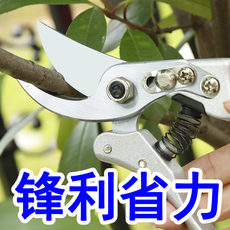 花剪修枝剪树枝剪刀园艺剪粗枝剪刀园林剪果树剪五金工具_虎窝淘