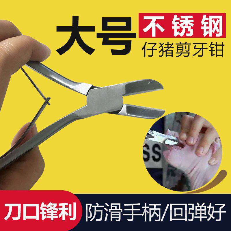 。不锈钢剪牙钳仔猪断牙