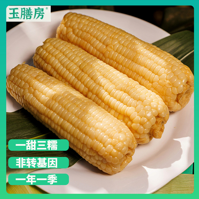 336甜糯玉米东北黑土地糯玉米非转基因真空装糯玉米轻食粗粮苞米