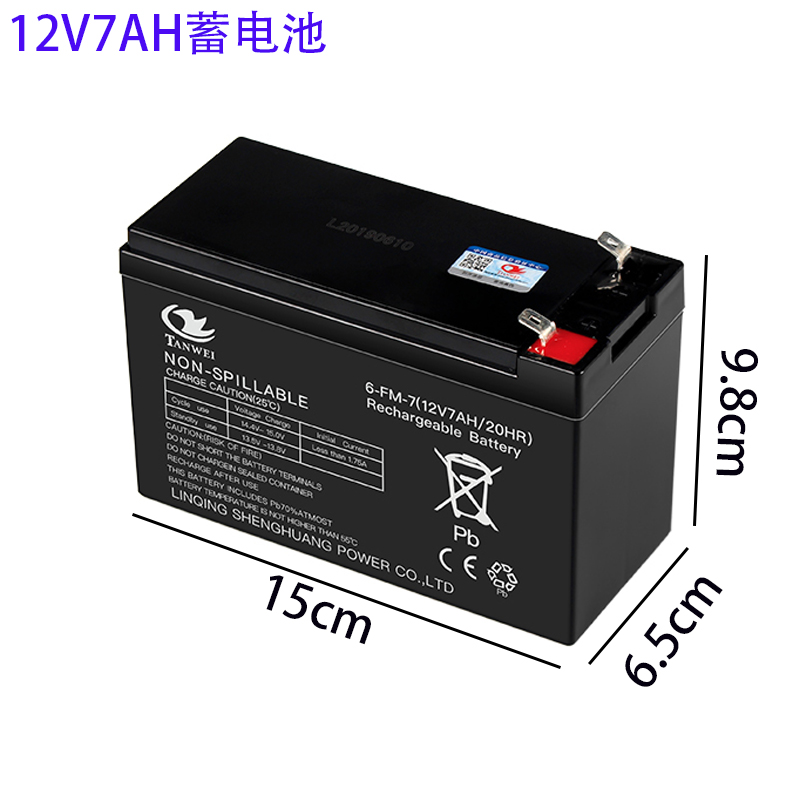 音响安防楼宇免维护铅酸蓄电池瓶