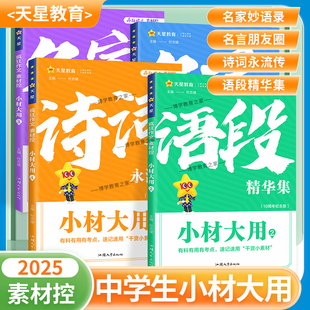 2025疯狂阅读素材控小材大用1234名言朋友圈语段精华集名家妙语录诗词永流传有料有用有考点速记速用干货小素材中学生语文通用版