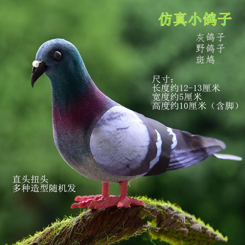 仿真灰鸽子泡沫假鸽子野鸽子斑鸠和平鸽家居景观室内装饰品摆件