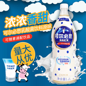 日本可尔必思浓缩液乳酸菌饮料儿童酸奶CALPIS牛奶浓缩汁1.2L包邮