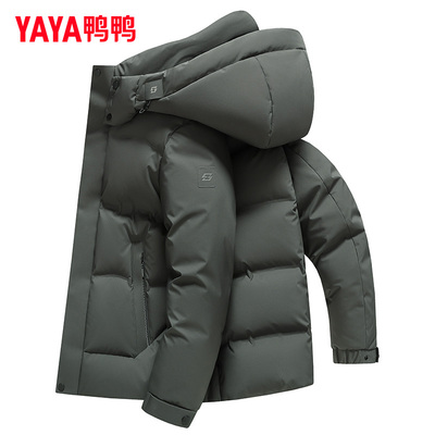 鸭鸭可脱卸帽短款爸爸装羽绒服