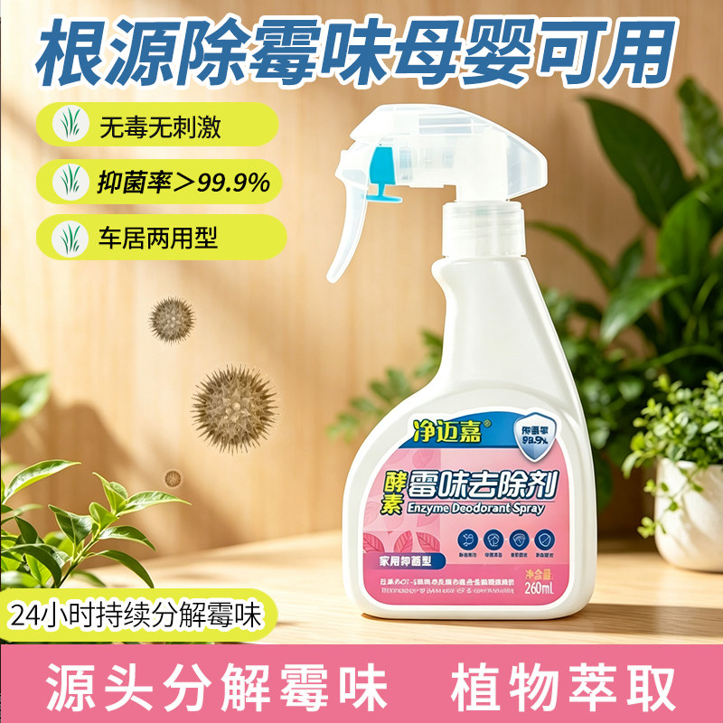 去霉味神器房间室内去潮湿除异味柜子皮革地下室车内祛霉味除味剂