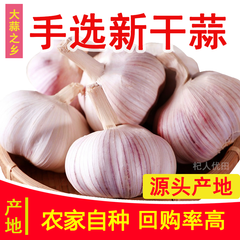 农家大蒜源头产地直发健康可种