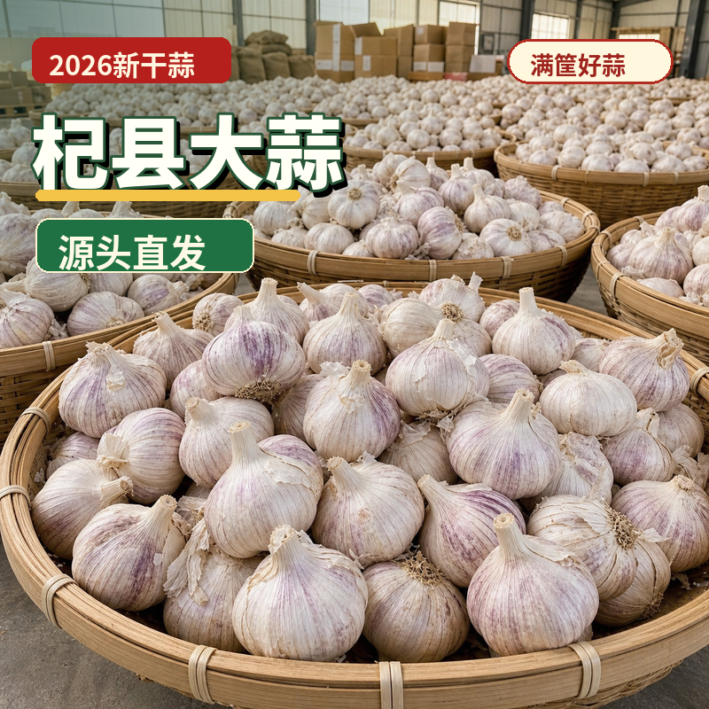 农家新干蒜大蒜头5斤/10斤健康