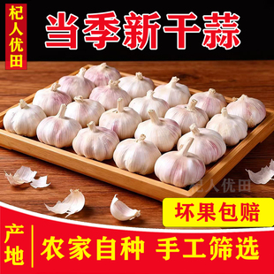 【杞人优田】2025年5斤新干大蒜大蒜头干蒜杞县大蒜紫皮蒜种籽9斤