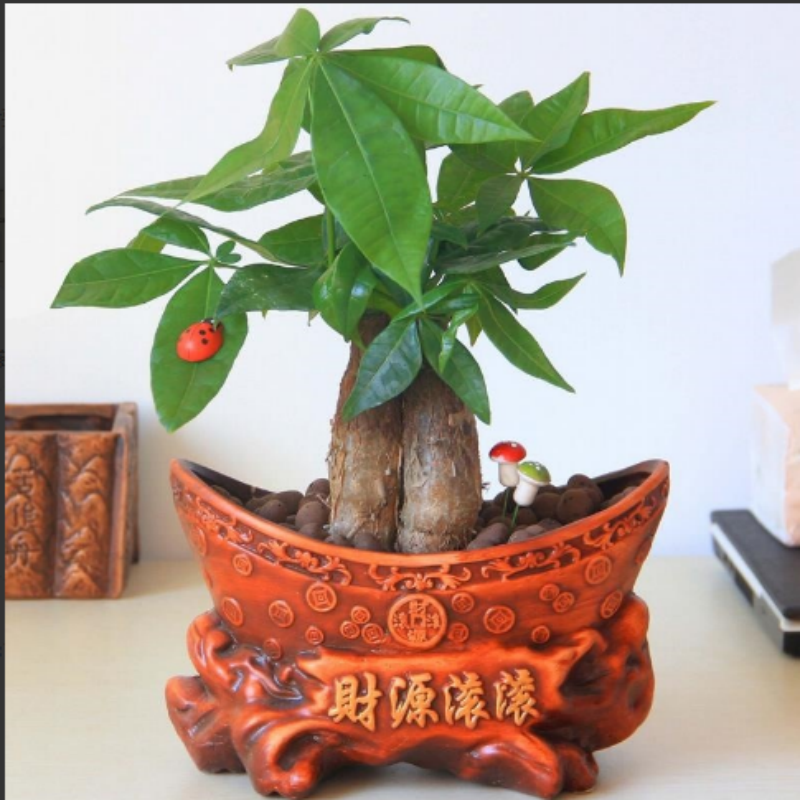 造型个性创意复古红陶花盆盆景盆