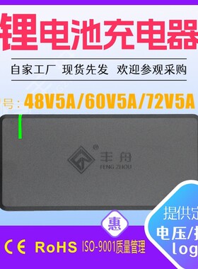 丰舟锂电池充电器48V60V72V5A 电动三轮电瓶车电池充电器工厂
