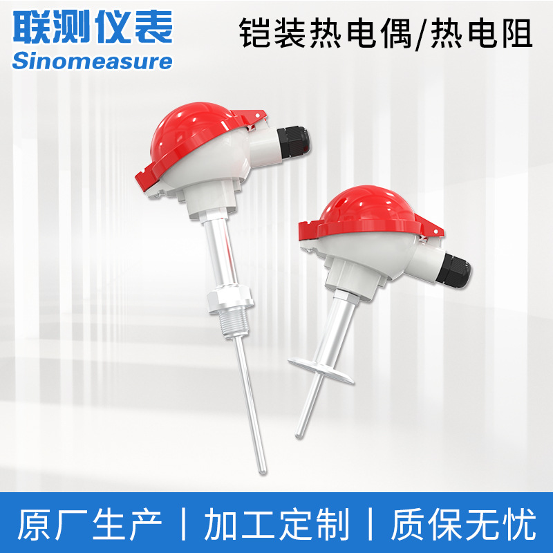 联测铠装温度变送器热电偶K型Pt