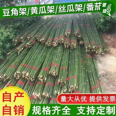 竹竿菜园搭架黄瓜架杆庭院家用豆角爬藤架篱笆栅栏户外种菜竹子杆