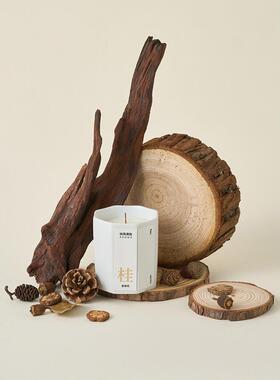 高级感小众树桩桌面摆件沉木造景木头树枝香薰产品拍照道具装饰