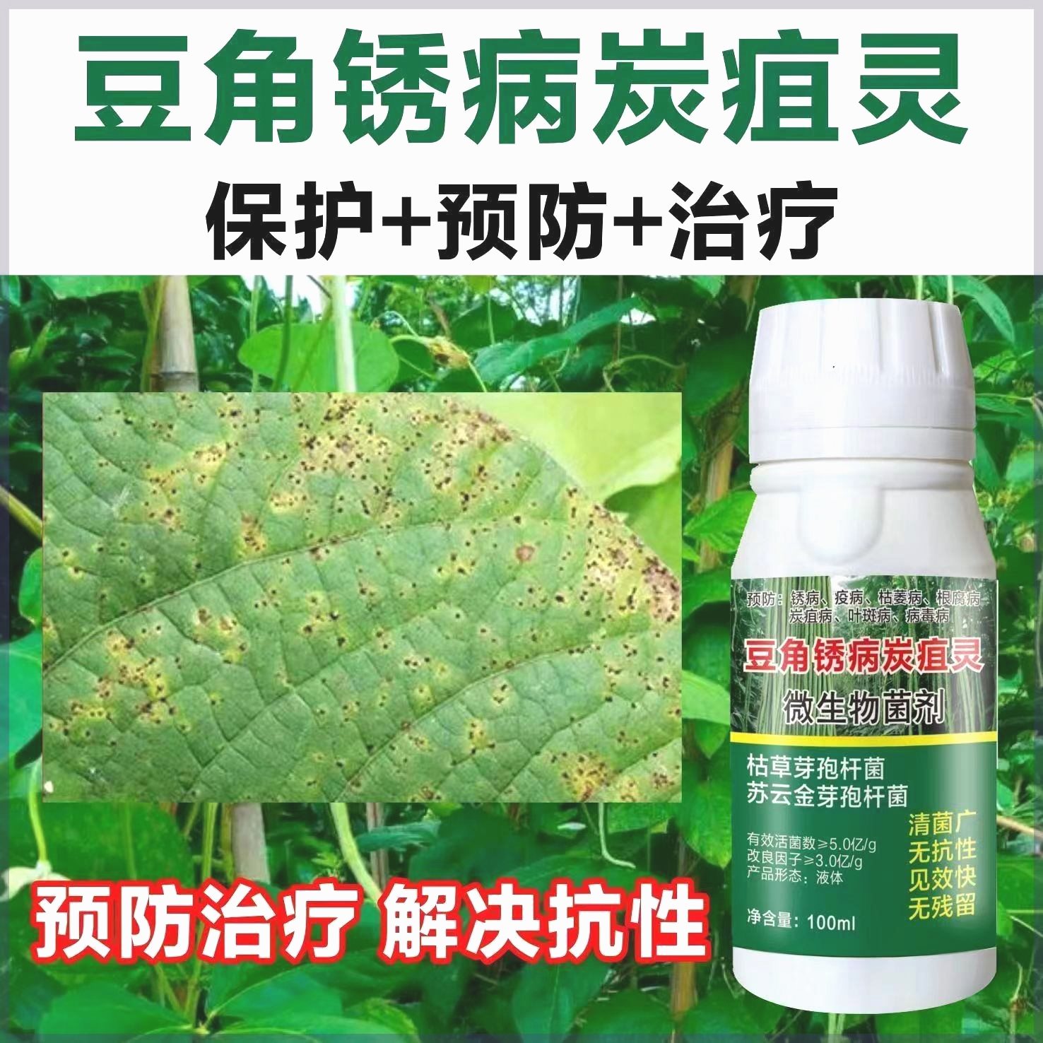 【工厂直发】【抖音同款】豆角病活菌锈病炭疽灵豆角杀菌剂疫病枯