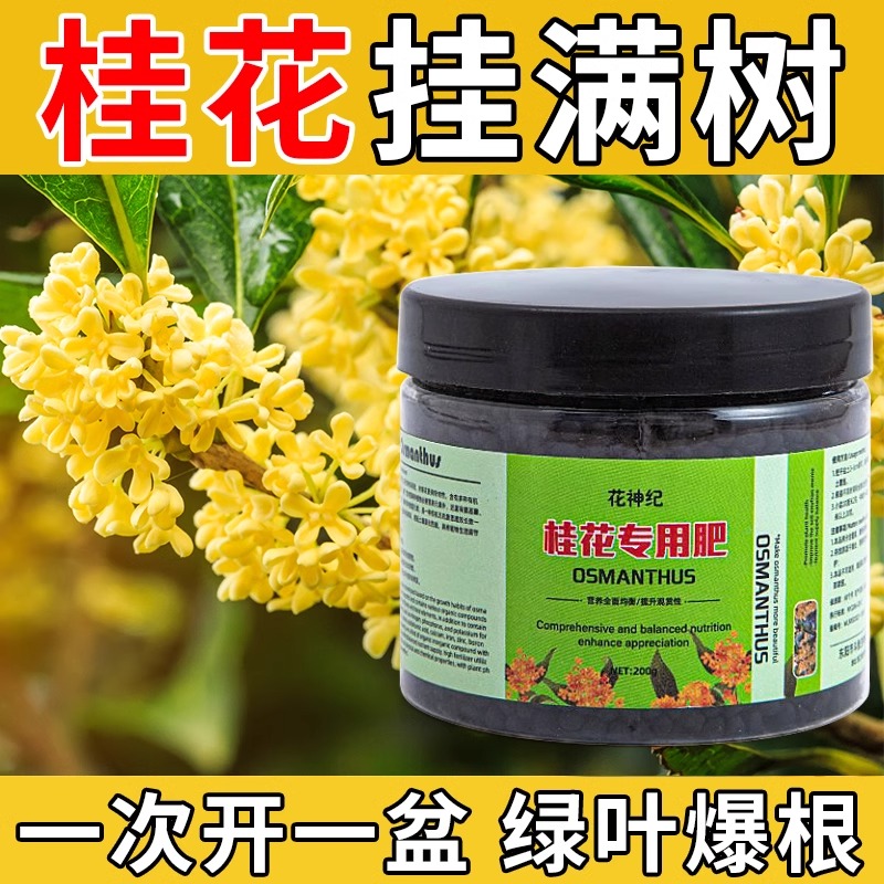 桂花树专用肥料营养有机肥促花延长花期改善黄叶枯叶盆栽植物通用