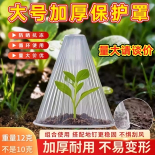 育苗保护罩大号免受霜冻幼苗育苗瓜苗菜苗秧苗防虫防鸟保护罩