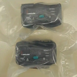 EHG2 瓦特隆 溫控器 CNTL WATLOW 000議價
