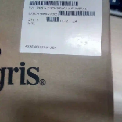 应特格美国英特格，应特格过滤器，WGFGMBRR4，全新议价