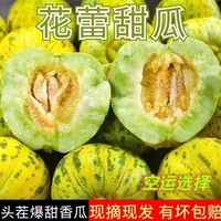 香瓜甜瓜新鮮香瓜東北八里香整箱青皮哈密現(xiàn)摘時令水果當(dāng)季脆甜