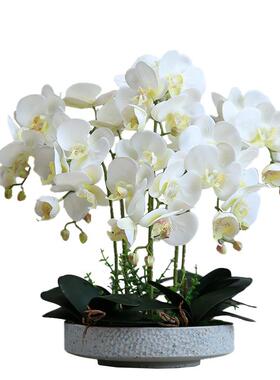 手感蝴蝶兰假花仿真花室内花艺摆设客厅轻奢高档假花盆景装饰摆件