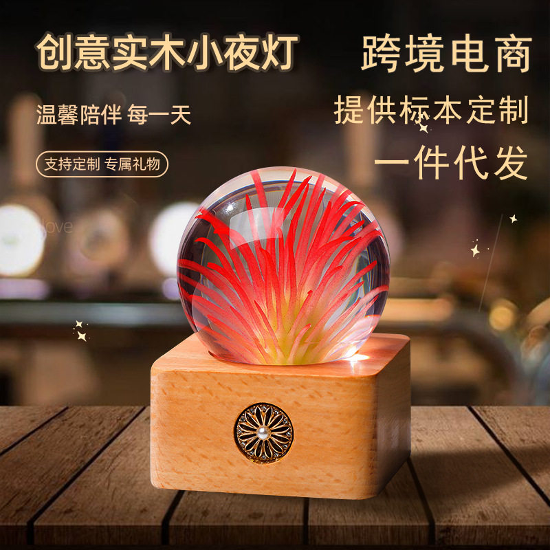 手工水晶球工艺品蒲公英植物标本小礼品七彩灯送女朋友送闺蜜