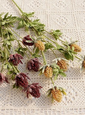 促销蓟花6叉蓟花扁叶刺芹仿真花假花家居摆件婚庆软装装饰花花材