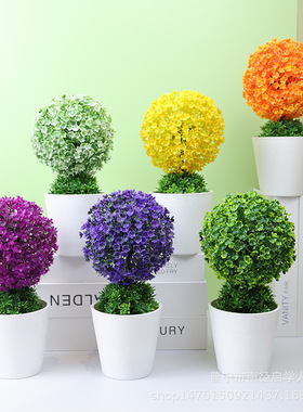 仿真植物盆栽小树草球盆景家居装饰花摆件创意迷你小圆球樱雪球