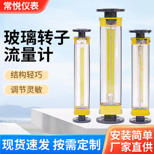 厂家供应LZB玻璃转子容积式流量计普通型防腐耐用气体液体测量