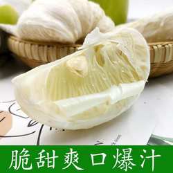 湖南怀化雪峰柚安江冰糖柚子小柚子新鲜水果白心苦柚老树土柚药柚