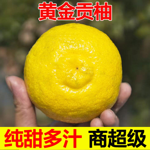 纯甜黄金贡柚，严选标准发货！