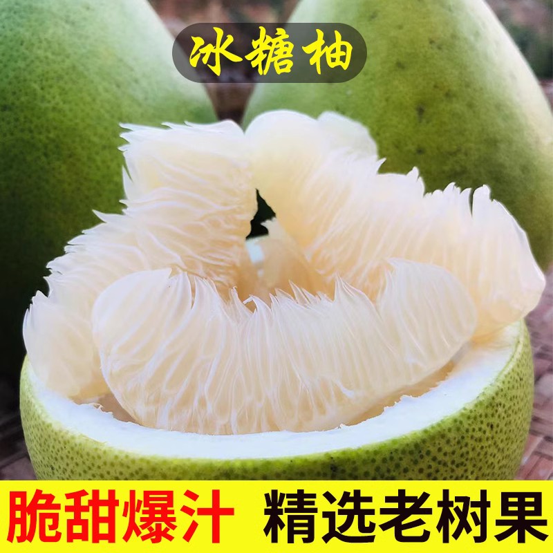 湖南当季雪峰柚脆甜多汁微苦低糖