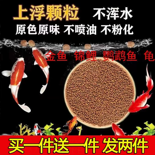 Небольшие золотые рыбки кормить высокую белунную воду рыбы кормит кои рыба для рыбы.