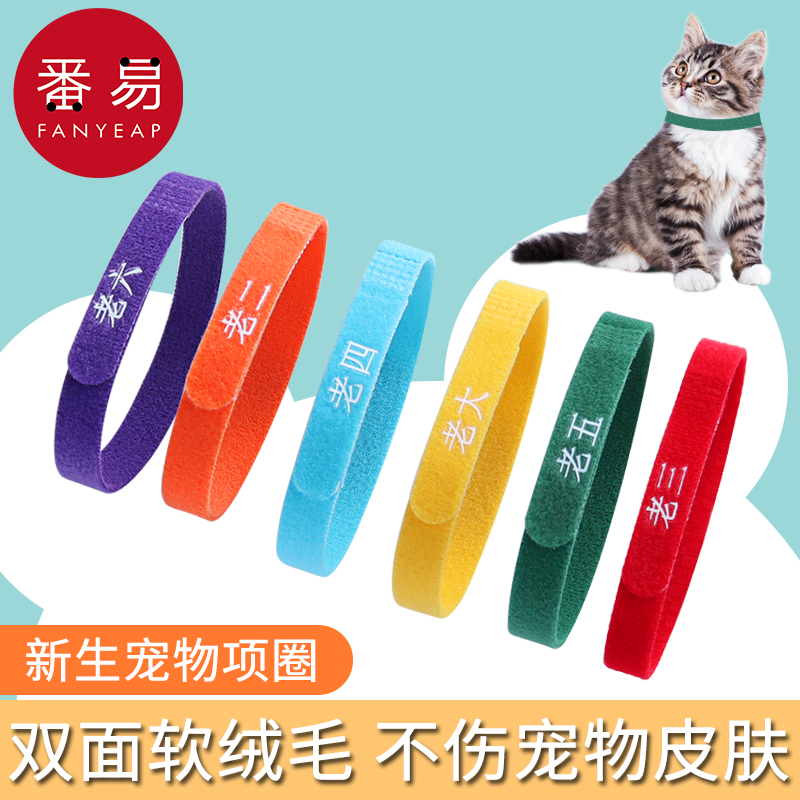 pq801宠物识别圈辨别出生记号分类脖项圈新生幼猫小狗标识区分带