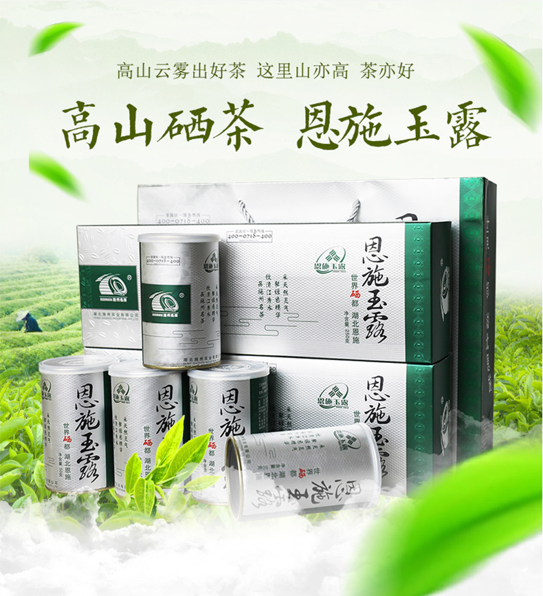 湖北恩施玉露茶叶施州绿茶250g条装礼盒