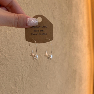 韩系冷淡风哑光腊肠狗耳环2025新款 高级感耳饰简约气质耳饰女 爆款