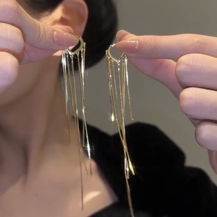 爆款 长款 气质流苏耳环女轻奢高级感小众独特设计感耳钉2025年新款