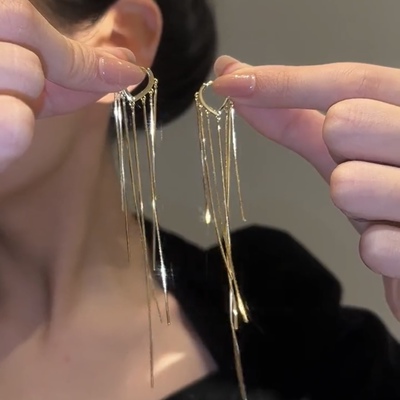 长款气质流苏耳环女轻奢高级感
