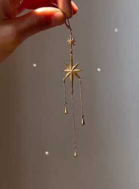 冷淡风八芒星水滴吊坠耳环轻奢高级感小众精致耳饰独特气质耳钉女