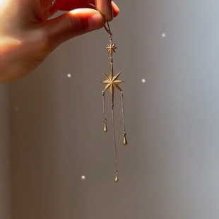 冷淡风八芒星水滴吊坠耳环轻奢高级感小众精致耳饰独特气质耳钉女