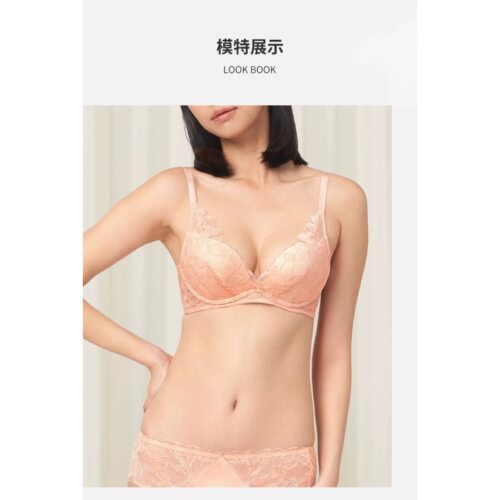 D28-黛-高端小胸聚拢显大深V蕾丝女文胸内衣-11R1978/16R8981